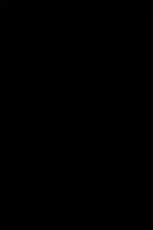 black rectangle